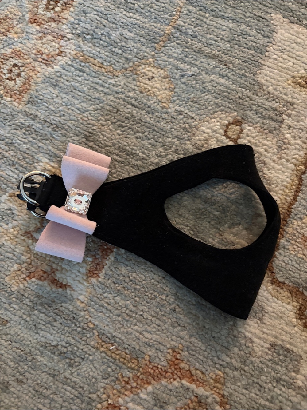 Susan lanci step in harness